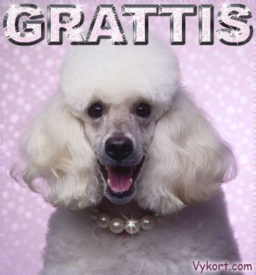 Grattis