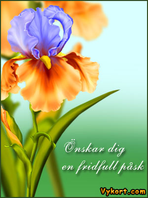 Fridfull psk