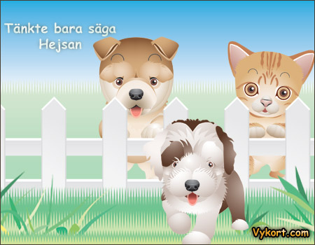 Hejsan