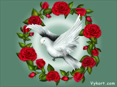 Rosor