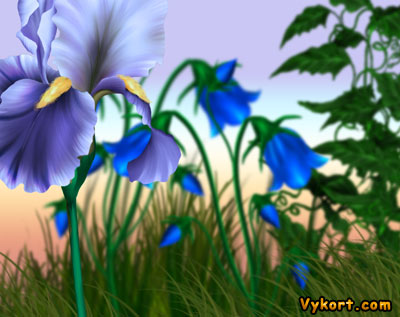Blommor