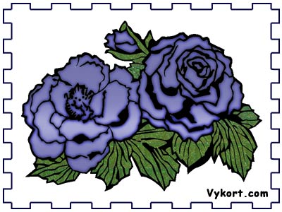 Rosor