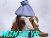 Krya p� dig