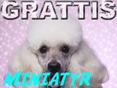 Grattis
