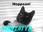 Hoppsan