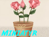 Rosor