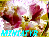 Blommor