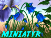 Blommor