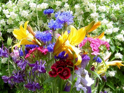 Midsommar
